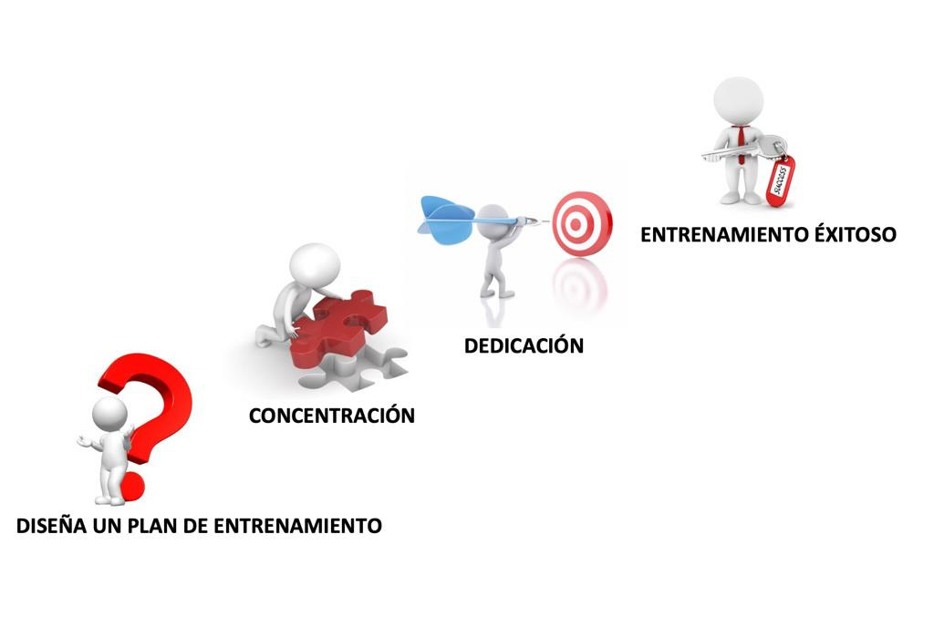 Plan de entrenamiento