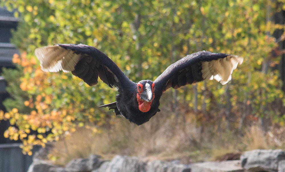 El momento en el que realizamos el bridge