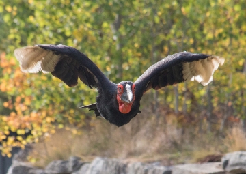 El momento en el que realizamos el bridge