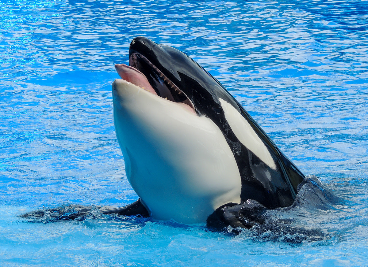 Cosa facciamo quando un comportamento non è corretto?