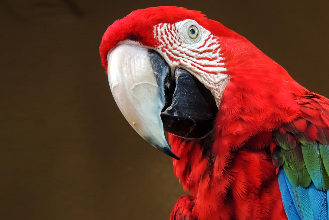 Renunciar a lo que quieres, te da lo que quieres