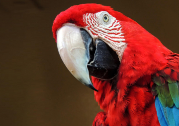 Renunciar a lo que quieres, te da lo que quieres