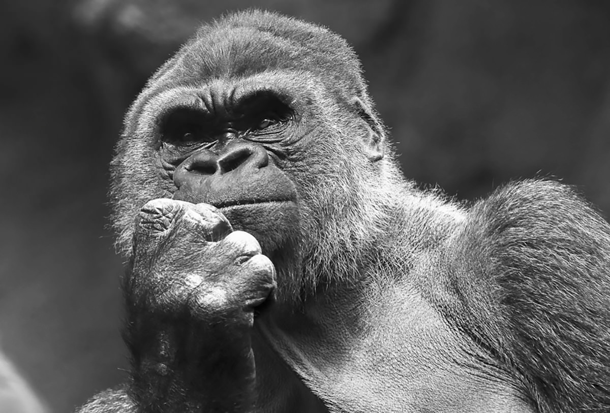 Forgotten by repression