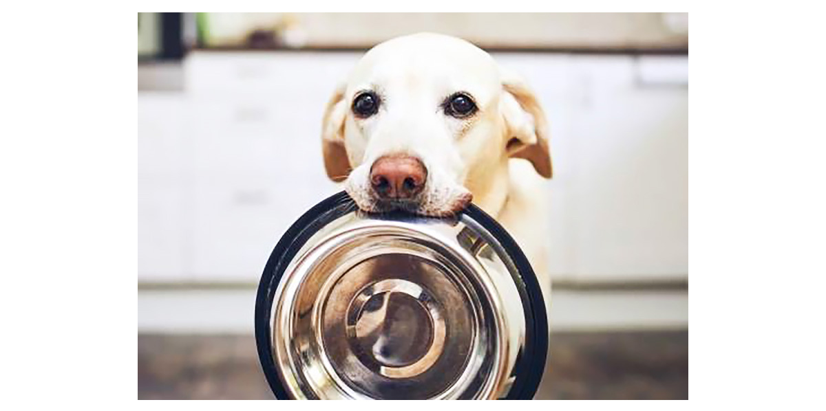 Manejo de conductas no deseadas