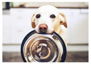 Manejo de conductas no deseadas