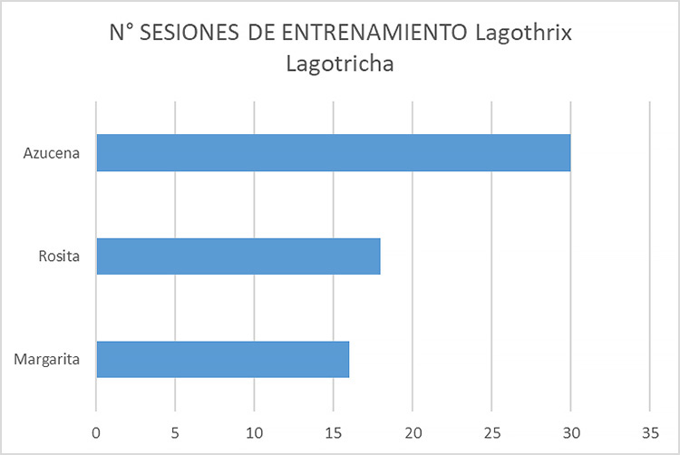 Gráfico 6: Número de sesiones de entrenamiento por individuo hasta lograr tomar la muestra de sangre en Lagothrix lagotricha. Gráfico 6: Número de sesiones de entrenamiento por individuo hasta lograr tomar la muestra de sangre en Lagothrix lagotricha.