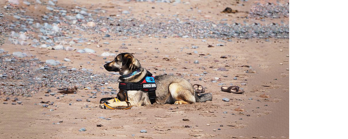 KGS o Keep Going Signal