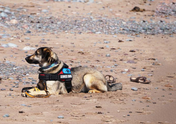 ¿qué es el umbral de tolerancia y cómo podemos manejarlo?