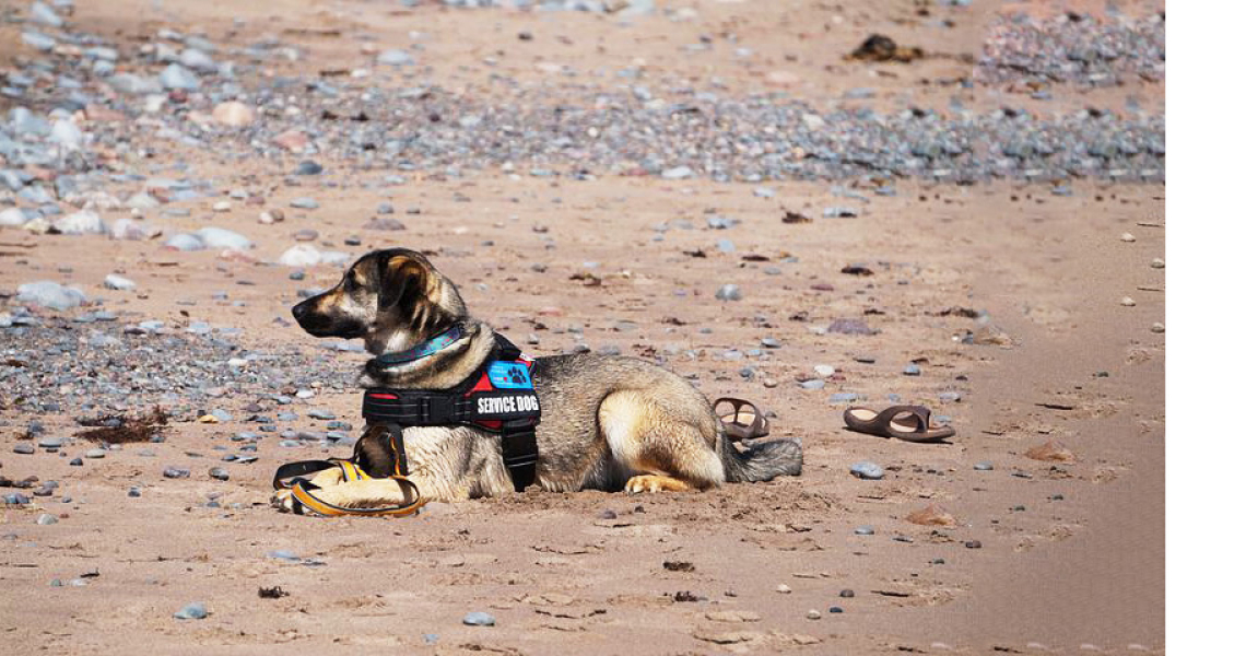 ¿qué es el umbral de tolerancia y cómo podemos manejarlo?