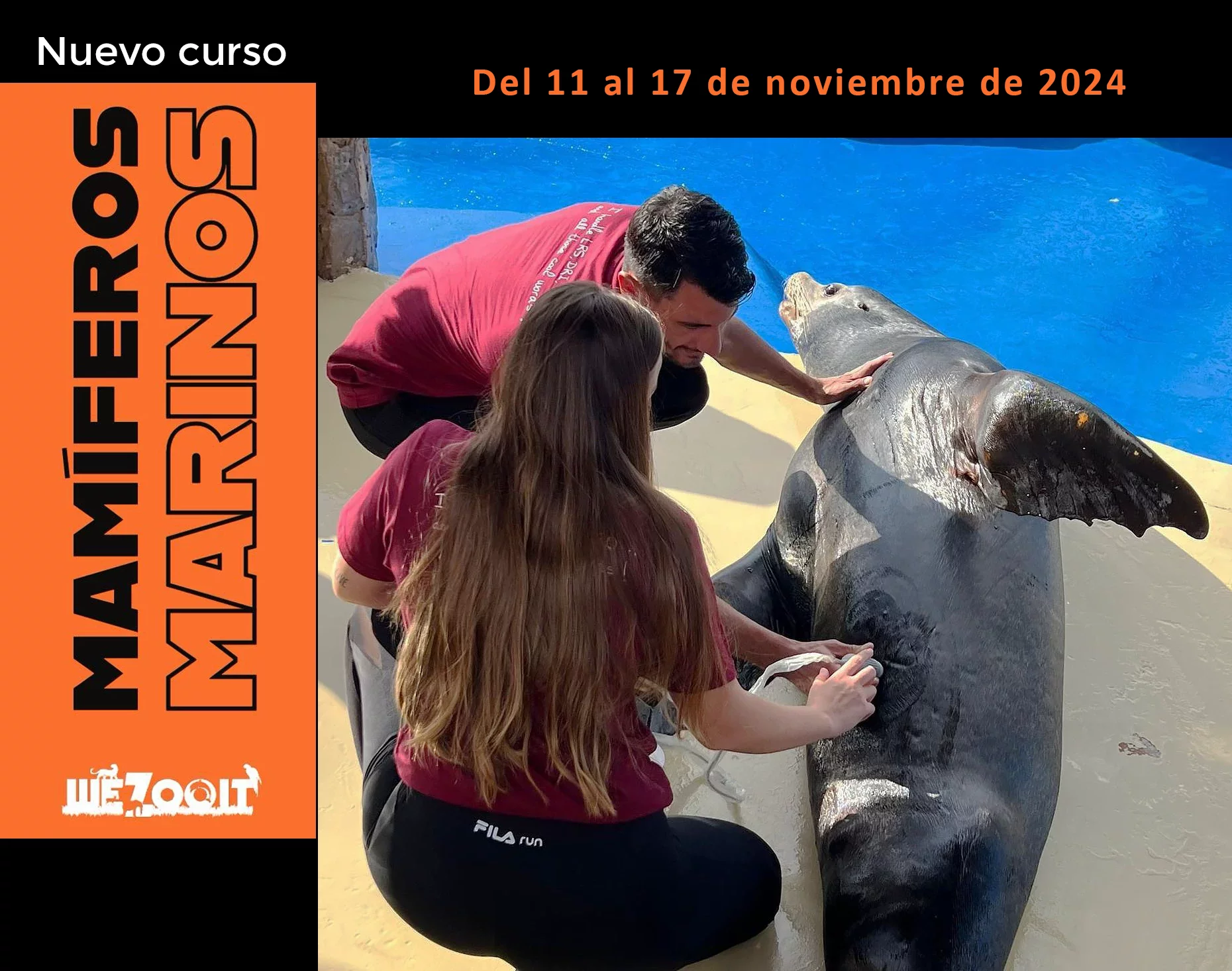 Curso de Mamíferos Marinos 2024 Curso de mamíferos marinos